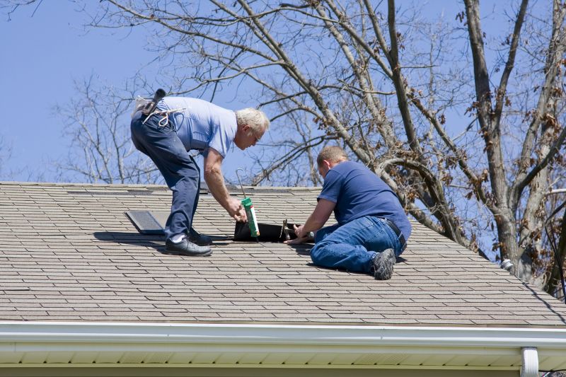 Professional Shingle Repairs